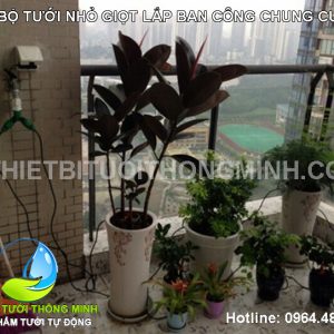 lắp đặt bộ hệ thống tưới nhỏ giọt tự động