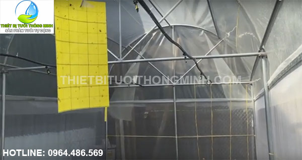 Béc tưới phun mưa (sương) 360 hạt mềm tưới rau, cây cảnh, lan