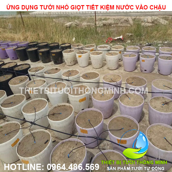 thiết bị tưới cây nhỏ giọt tưới động tưới chậu cây cảnh