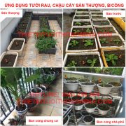 tưới cây nhỏ giọt tưới rau, cây cảnh trên sân thượng ban công