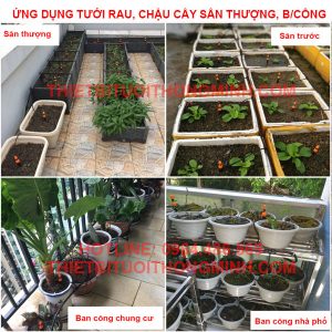 tưới cây nhỏ giọt tưới rau, cây cảnh trên sân thượng ban công