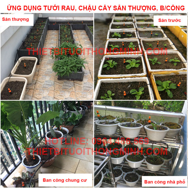 tưới cây nhỏ giọt tưới rau, cây cảnh trên sân thượng ban công