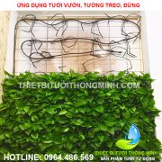 tưới nhỏ giọt tường đứng, vườn treo trong nhà