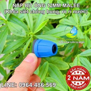 Nắp bịt ống 12mm Malee