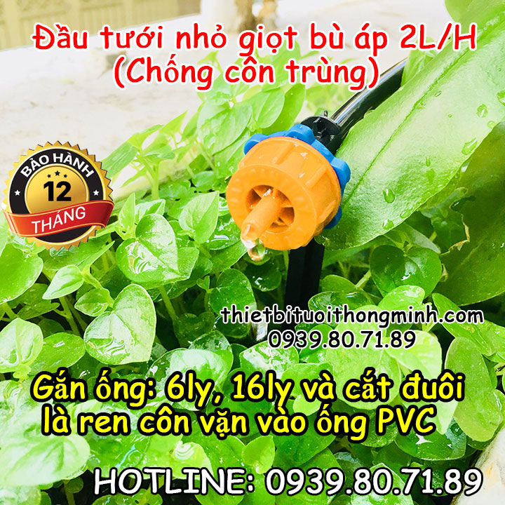 Béc tưới nhỏ giọt bù áp 2 lít/h