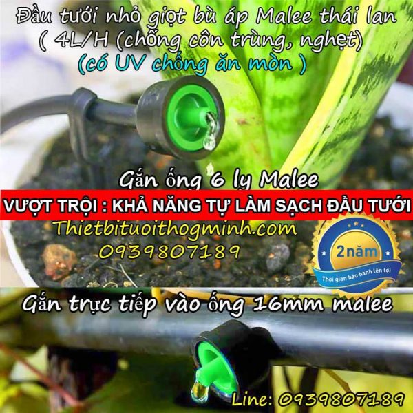 Béc tưới bù áp 4 lít/h Malee