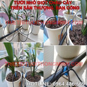 hệ thống tưới cây nhỏ giọt tự động ống mềm 16mm pe