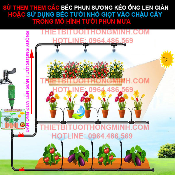 bộ hệ thống tưới phun sương tưới lan, rau