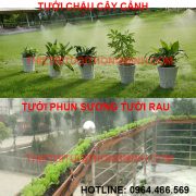 bộ hệ thống tưới phun sương tưới lan, rau