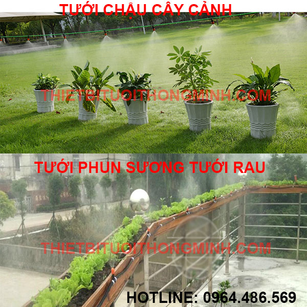 bộ hệ thống tưới phun sương tưới lan, rau