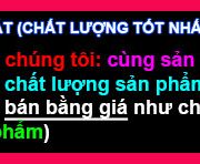 cam kết hỗ trợ khách hàng thiết bị tưới thông minh