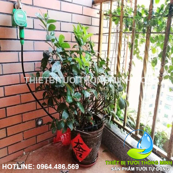 Trọn bộ tự động 20 đầu tưới gốc 8 tia dùng pin FLORA