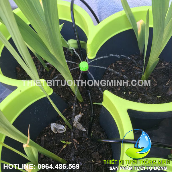 Trọn bộ tự động 20 đầu tưới gốc 8 tia dùng pin FLORA