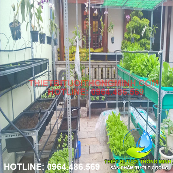 Trộn bộ kit 70 đầu tưới nhỏ giọt 8 tia cắm gốc FLORA (béc tưới điều chỉnh được)