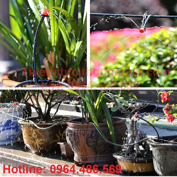 Bộ tưới tự động phun sương, tưới gốc 8 tia kết hợp Flora