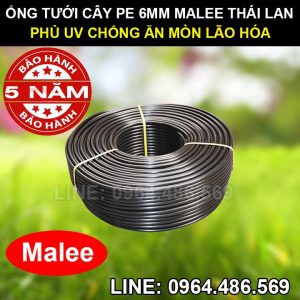 Ống pe 6mm tưới cây Malee