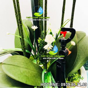 Đầu tưới cắm gốc phun nước 120 độ Florain