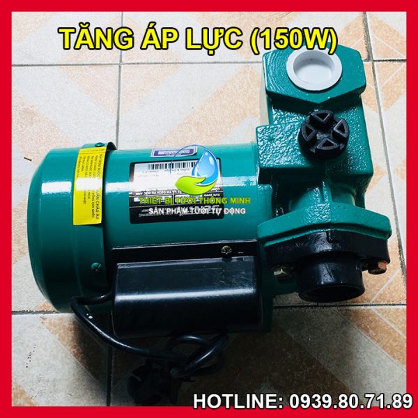 Máy bơm tăng áp đẩy cao tưới cây 220VA SUNTER 150E