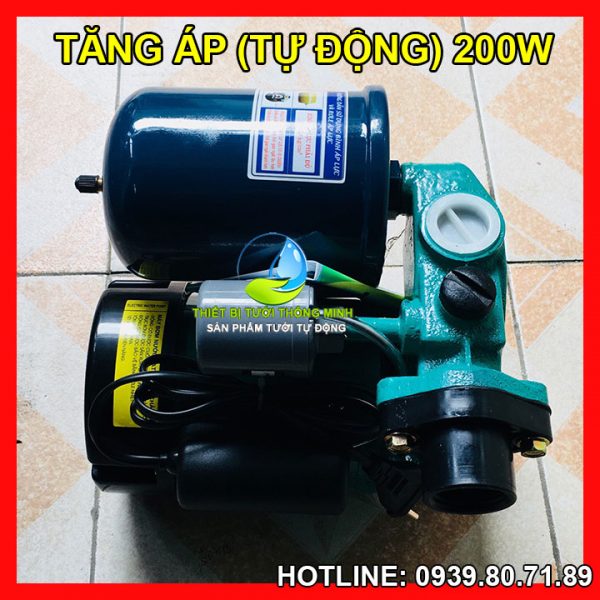 Máy bơm tưới cây tăng áp tự động 200W Sunter