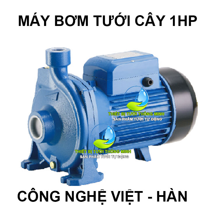 Máy bơm tưới cây 1HP Lukey Pro