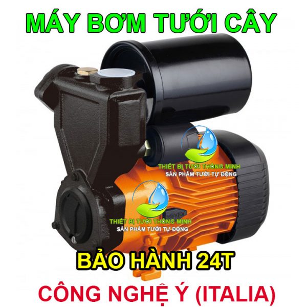 Máy bơm tưới cây tăng áp lưu lượng lớn Ý