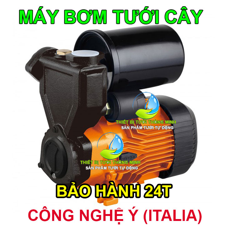 Máy bơm tưới cây tăng áp lưu lượng lớn Ý 