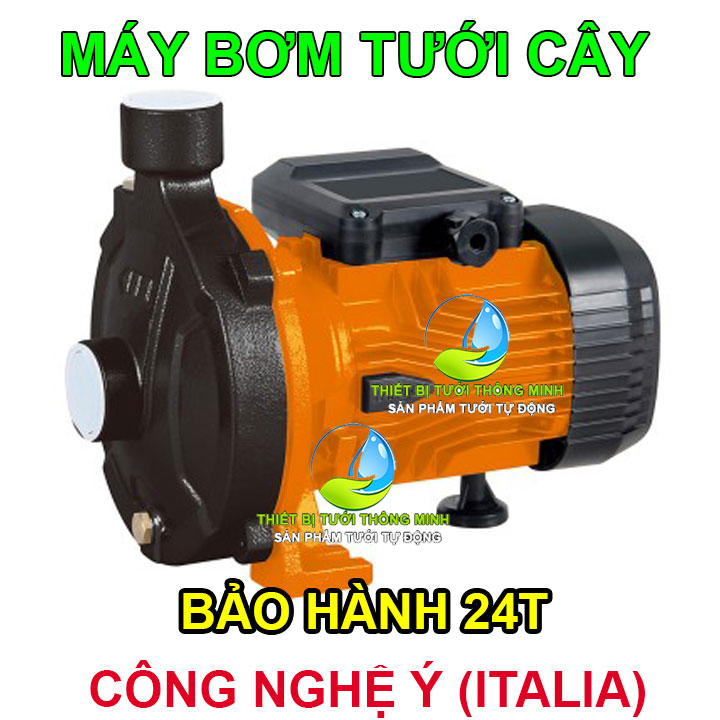 Máy bơm tưới cây lưu lượng lớn cao cấp Ý phun mưa sương tưới cỏ rẻ