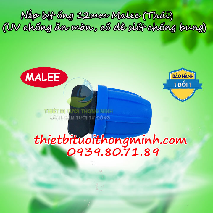 Nắp bịt ống 12mm Malee 