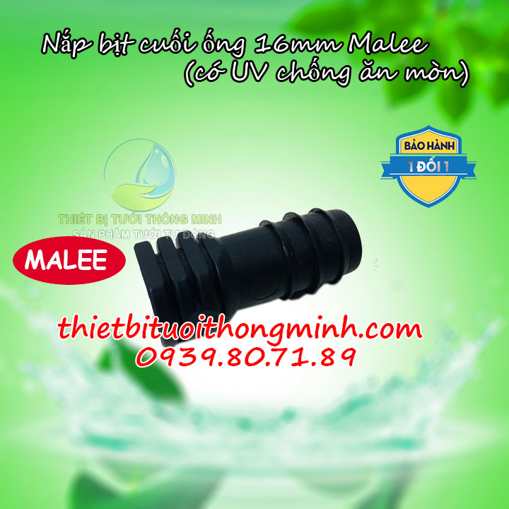 Nắp bịt ống 16mm pe Malee