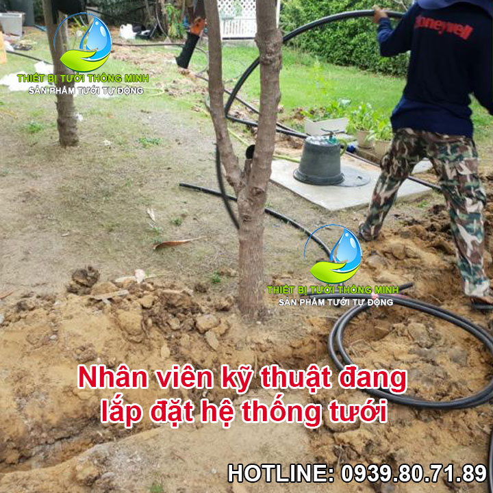 lắp đặt tưới tự động biệt thự sân vườn tphcm