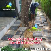 lắp đặt tưới tự động biệt thự sân vườn tphcm