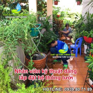 lắp đặt tưới tự động biệt thự sân vườn tphcm