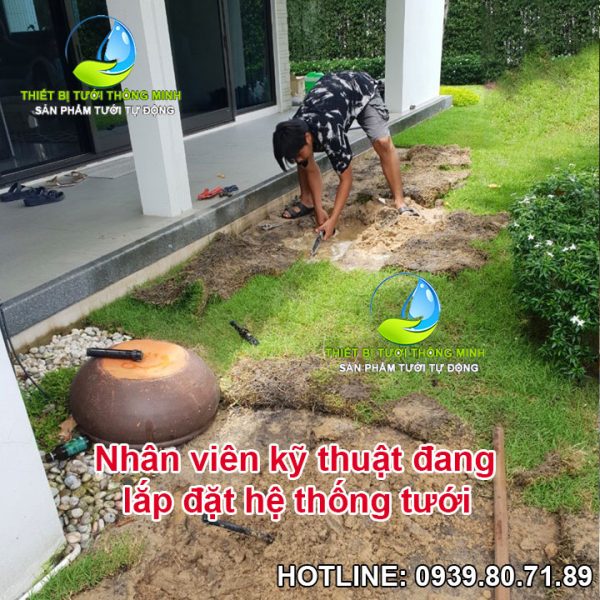 lắp đặt tưới tự động biệt thự sân vườn tphcm