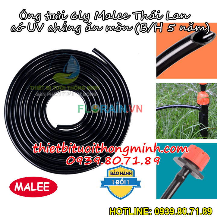 Ống pe 6mm tưới cây Malee