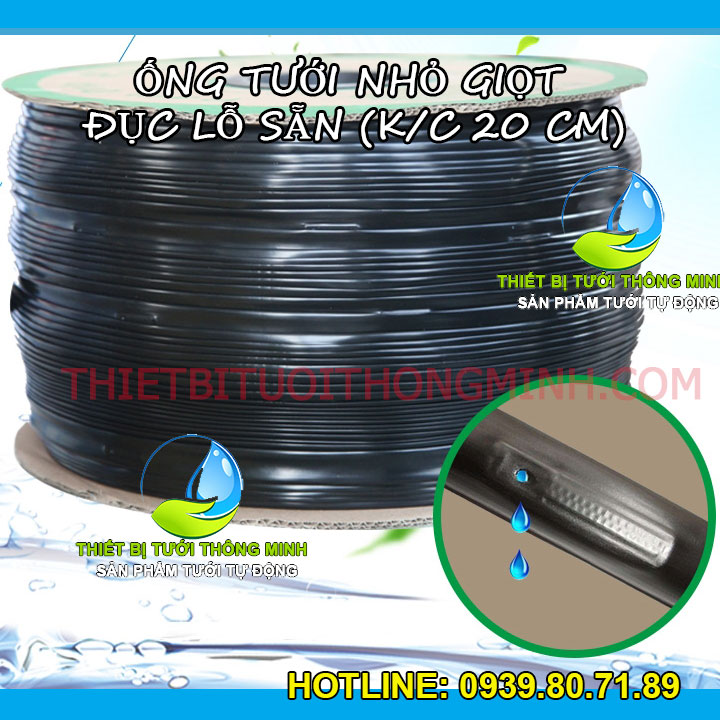 Ống tưới nhỏ giọt bù áp đục lỗ sẵn khoảng cách lỗ 20cm ống 12mm