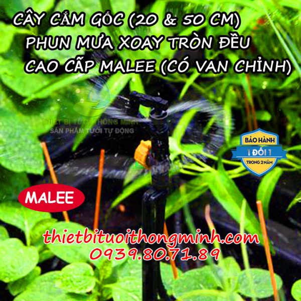 Đầu tưới phun mưa xoay 360 độ cắm gốc Malee