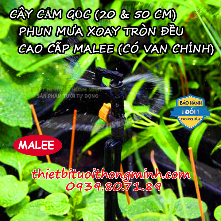 Đầu tưới phun mưa xoay 360 độ cắm gốc Malee 