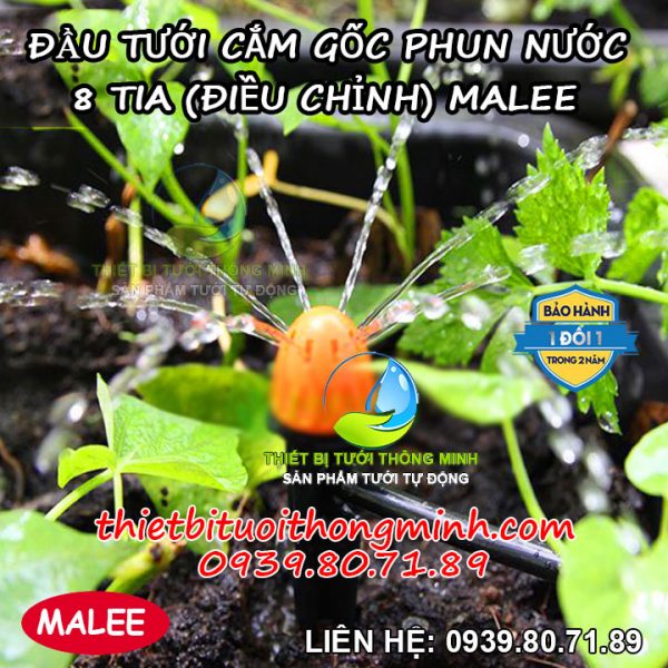 Đầu tưới cắm gốc phun nước 8 tia Malee