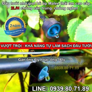 Đầu béc tưới nhỏ giọt bù áp cao cấp 2 lít giờ chống nghẹt côn trùng Male BA2