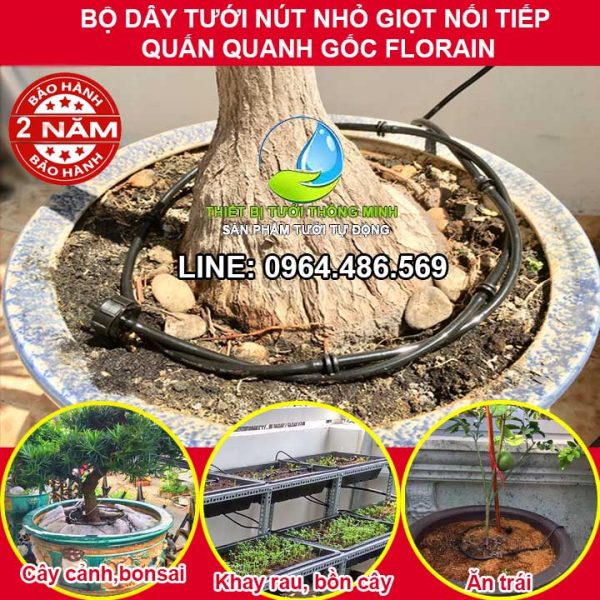 Dây béc tưới nhỏ giọt quấn gốc tưới khay rau Florain 5 nút tưới