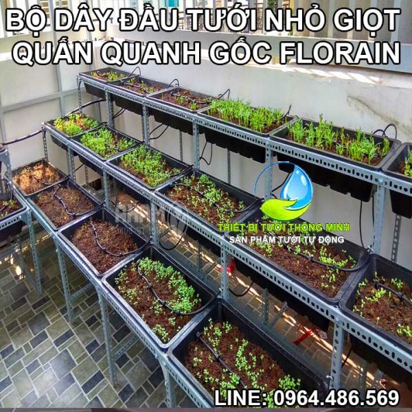 Dây béc tưới nhỏ giọt quấn gốc tưới khay rau Florain 5 nút tưới