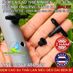 Ron cao su khởi thủy tê nối ống 6ly Malee thái lan