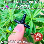 Ron cao su khởi thủy tê nối ống 6ly Malee thái lan