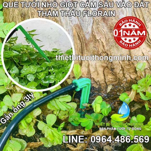 Que cắm gốc tưới nhỏ giọt thẩm thấu vào đất Florain